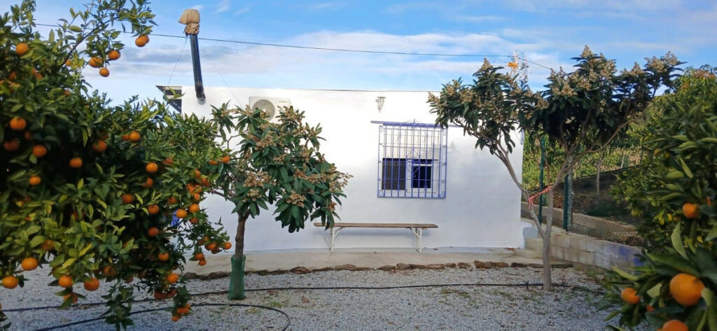 Finca - Cortijo Benamargosa Málaga - imagen 34