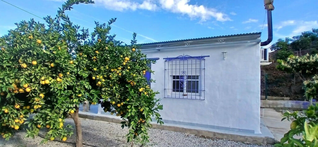 Finca - Cortijo Benamargosa Málaga - imagen 35
