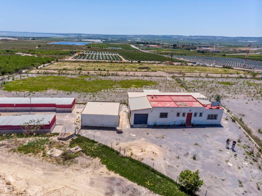 Finca - Cortijo Los Montesinos Alicante - zdjęcie 36