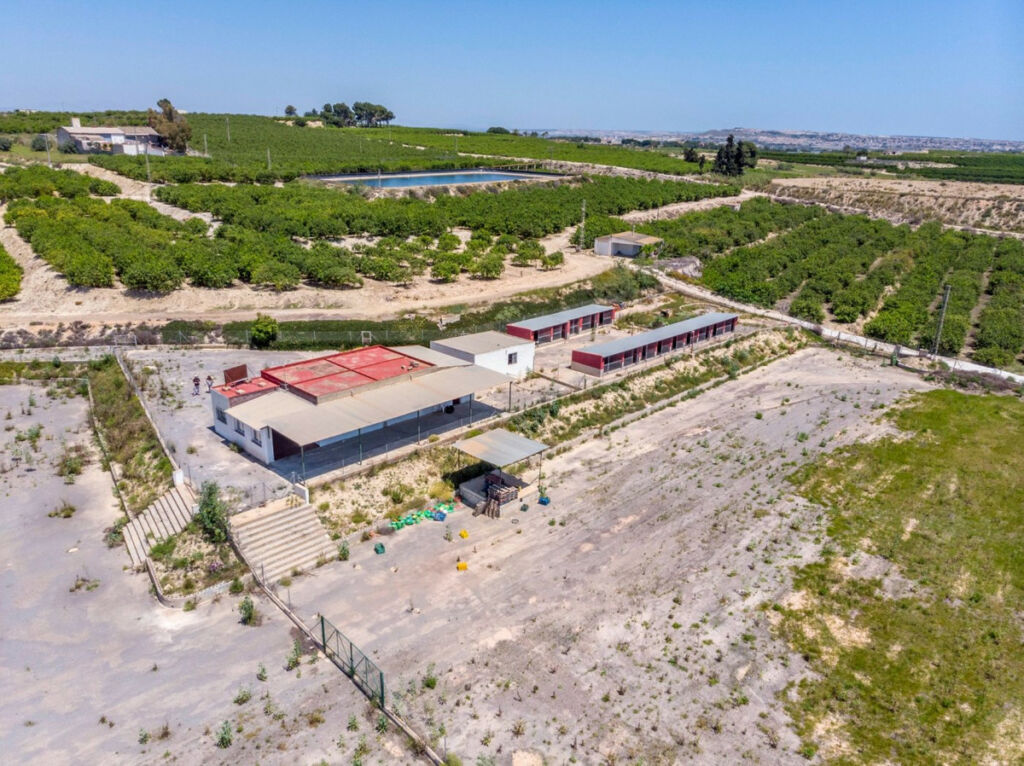 Finca - Cortijo Los Montesinos Alicante - zdjęcie 38