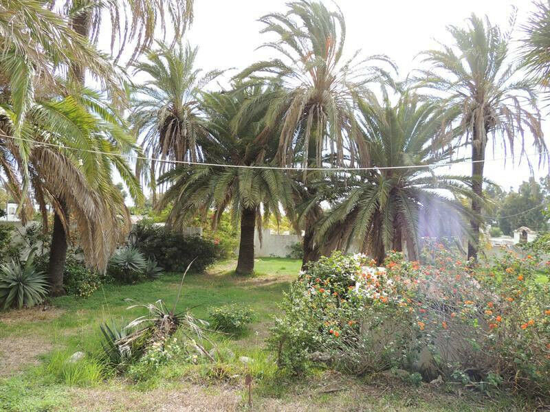 Detached Villa Estepona Málaga - imagen 4