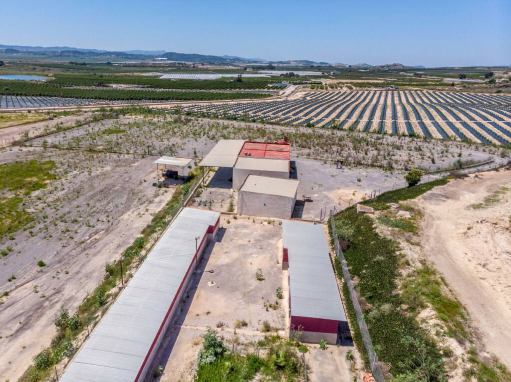 Finca - Cortijo Los Montesinos Alicante - zdjęcie 40