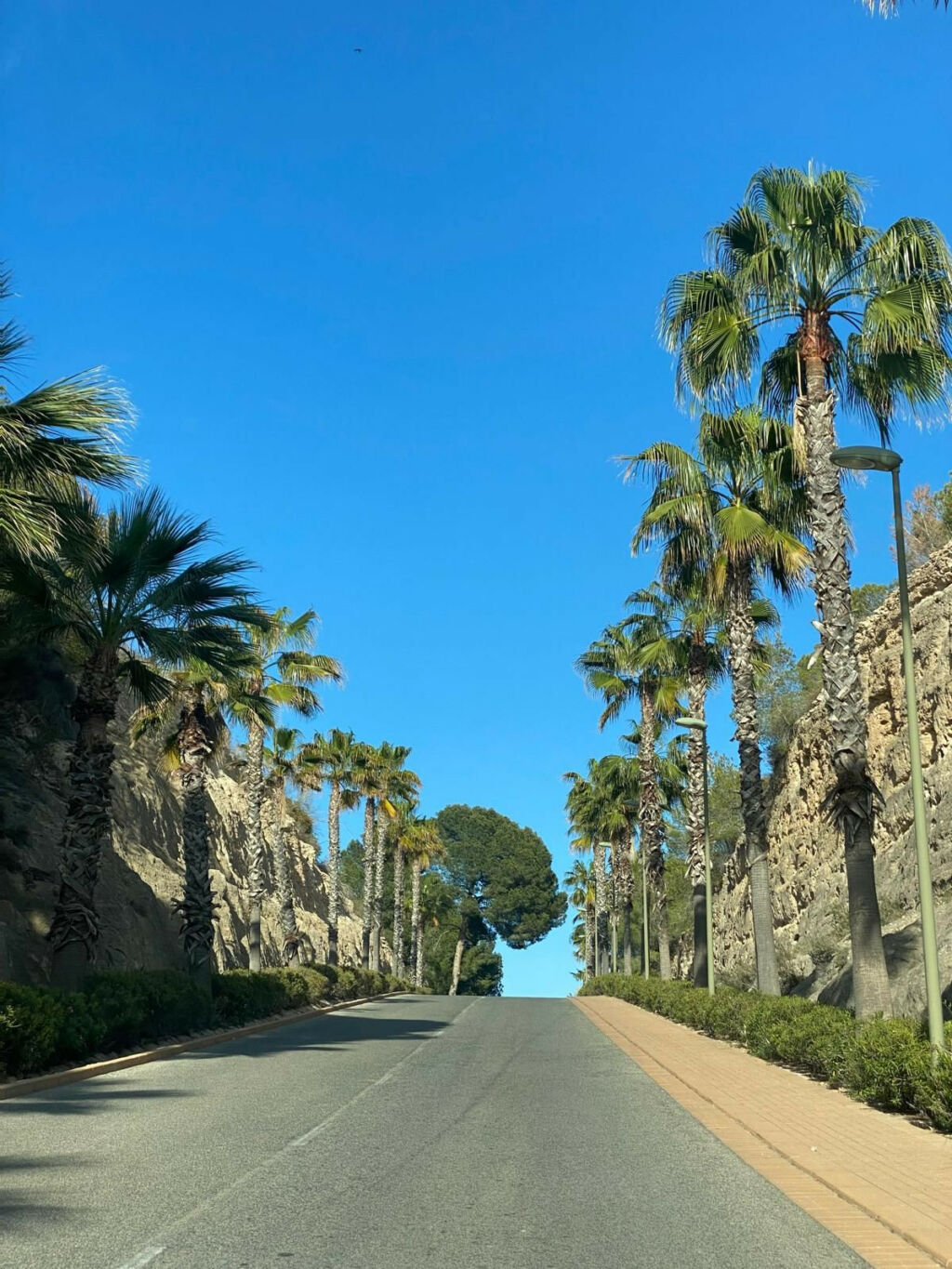 Detached Villa Orihuela Costa Alicante - imagen 31