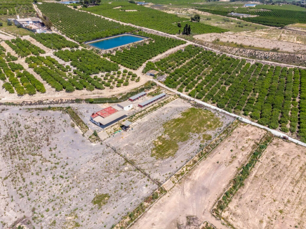 Finca - Cortijo Los Montesinos Alicante - zdjęcie 42
