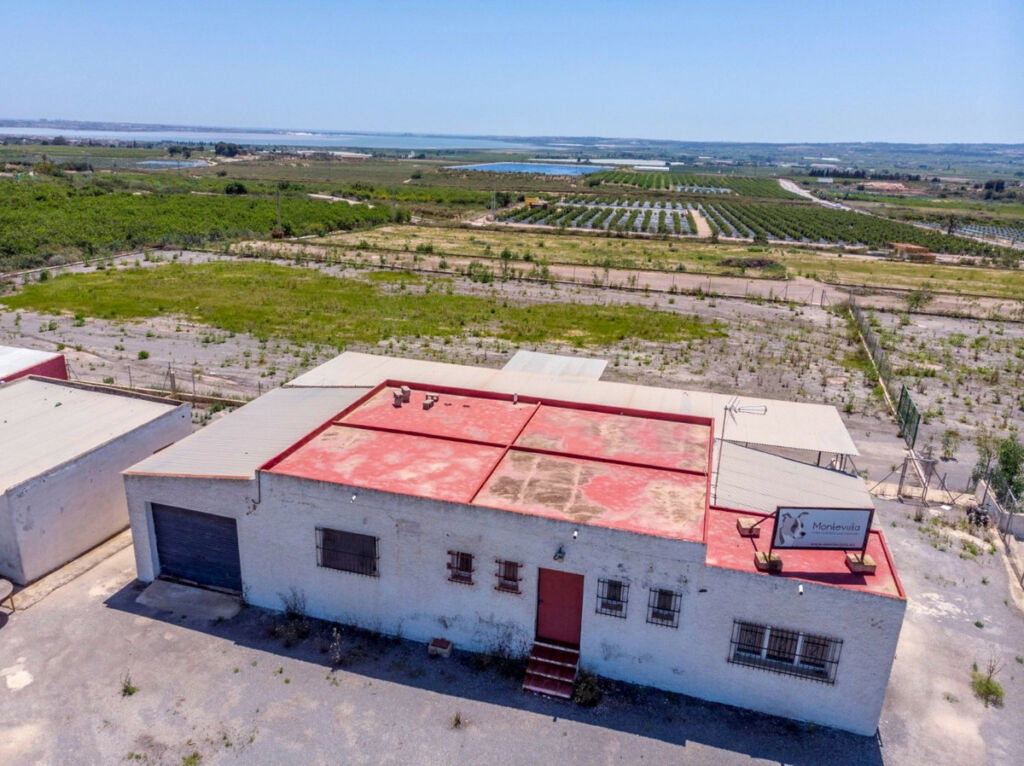 Finca - Cortijo Los Montesinos Alicante - zdjęcie 44