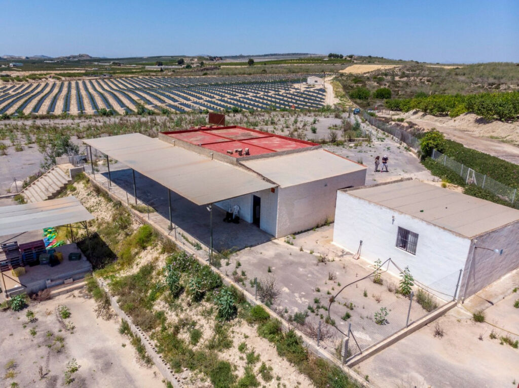 Finca - Cortijo Los Montesinos Alicante - zdjęcie 45