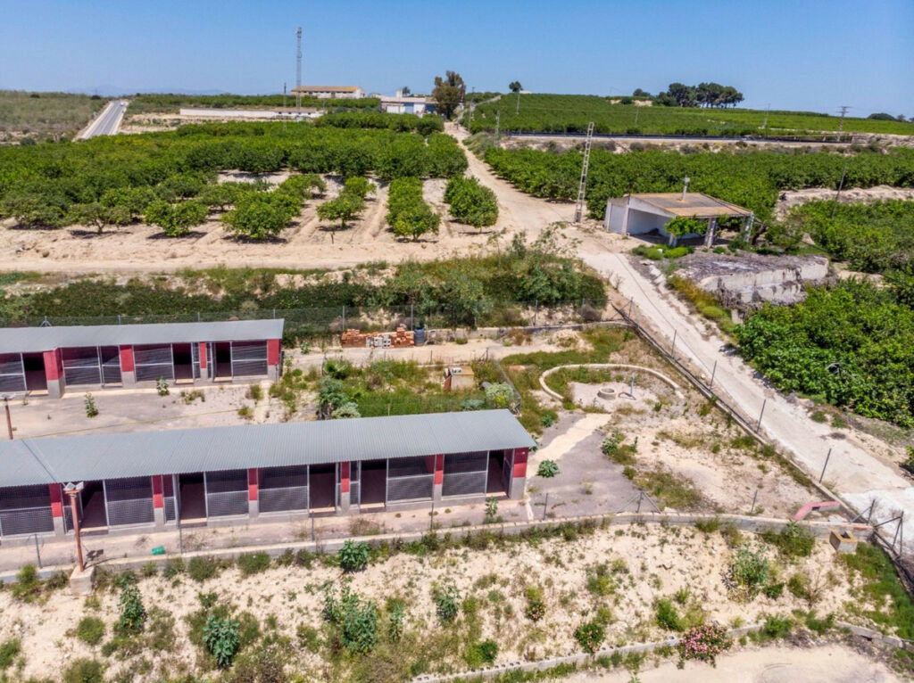 Finca - Cortijo Los Montesinos Alicante - zdjęcie 46