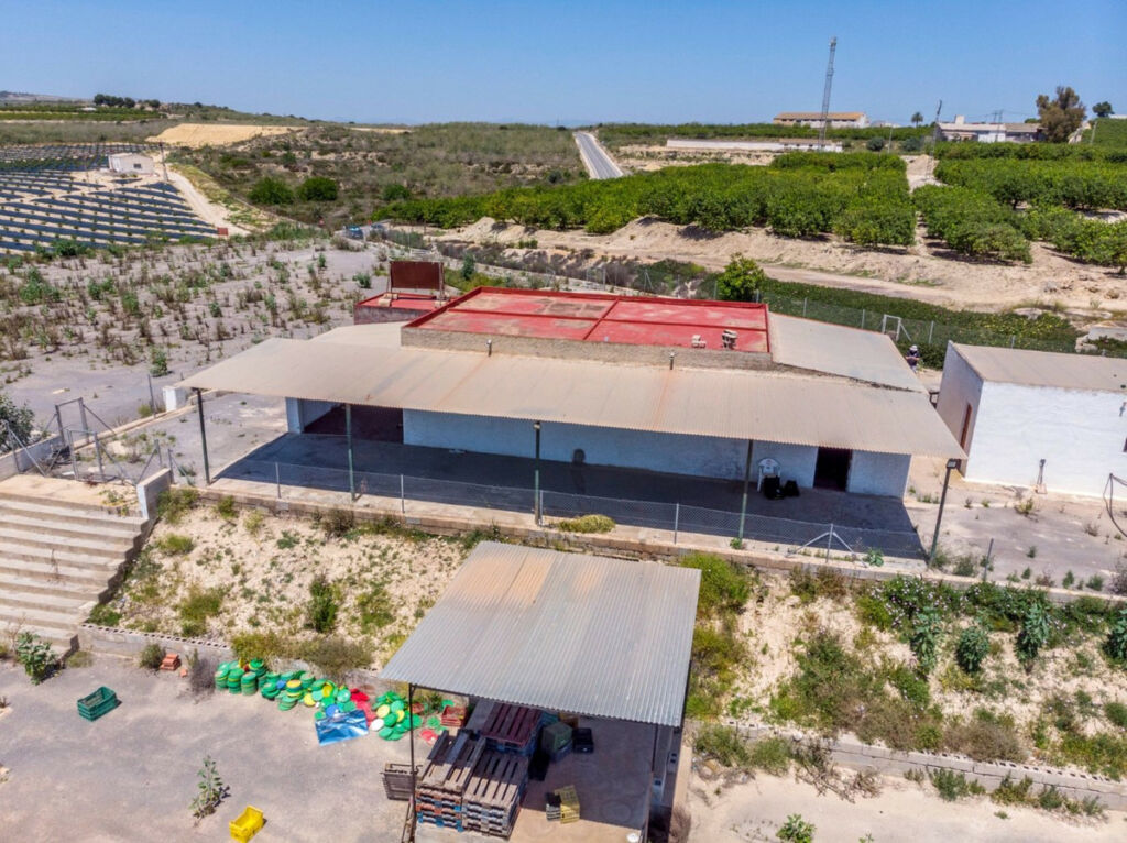 Finca - Cortijo Los Montesinos Alicante - zdjęcie 47