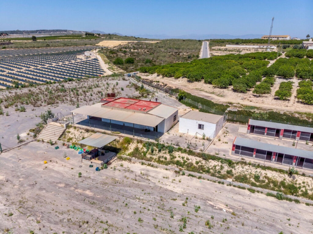 Finca - Cortijo Los Montesinos Alicante - zdjęcie 49