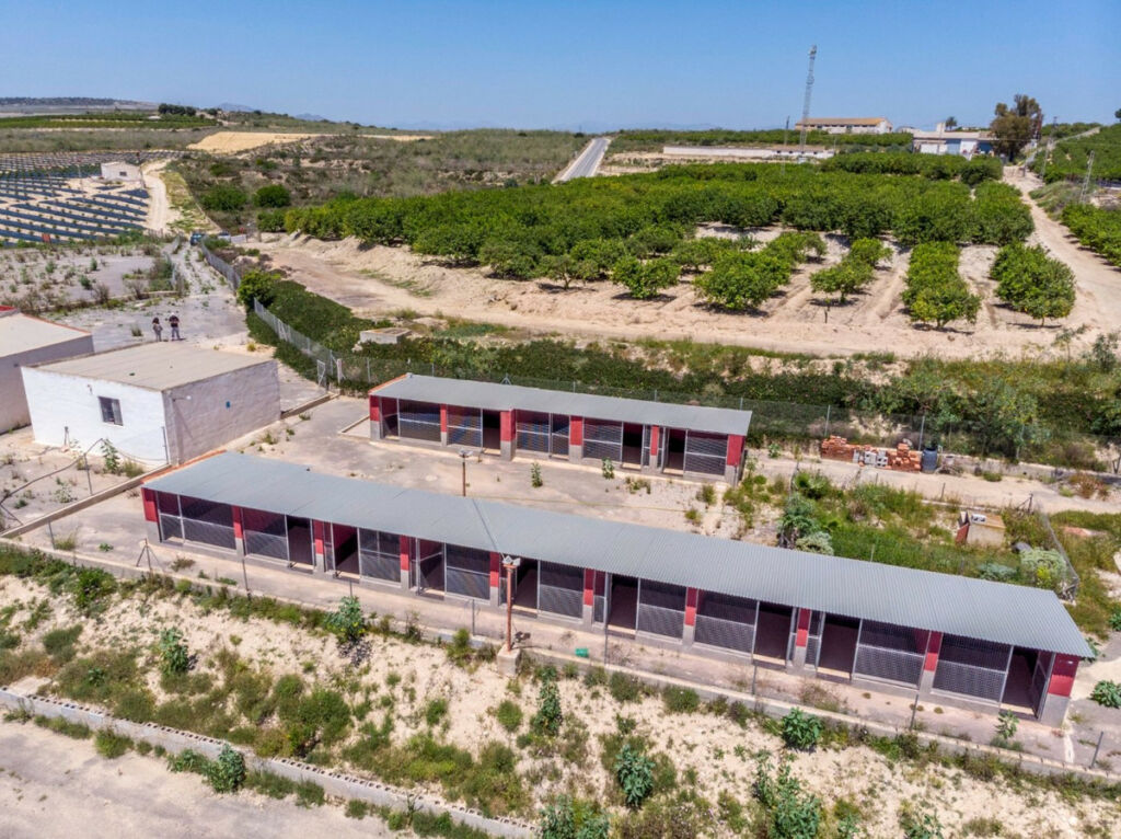 Finca - Cortijo Los Montesinos Alicante - zdjęcie 50