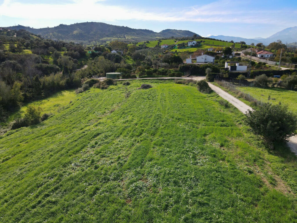 Finca - Cortijo Coín Málaga - Bild 11