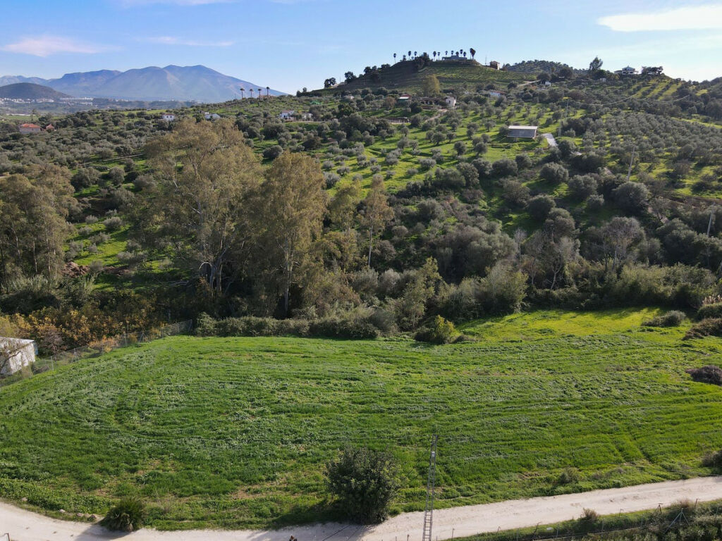 Finca - Cortijo Coín Málaga - Bild 13