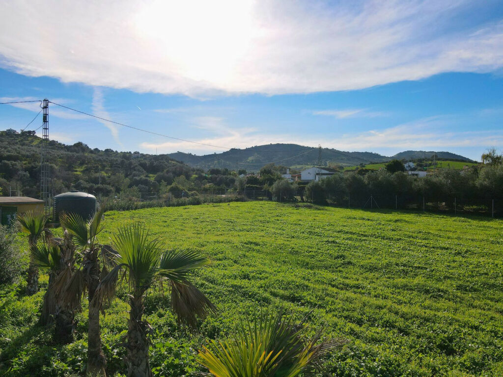 Finca - Cortijo Coín Málaga - Bild 15
