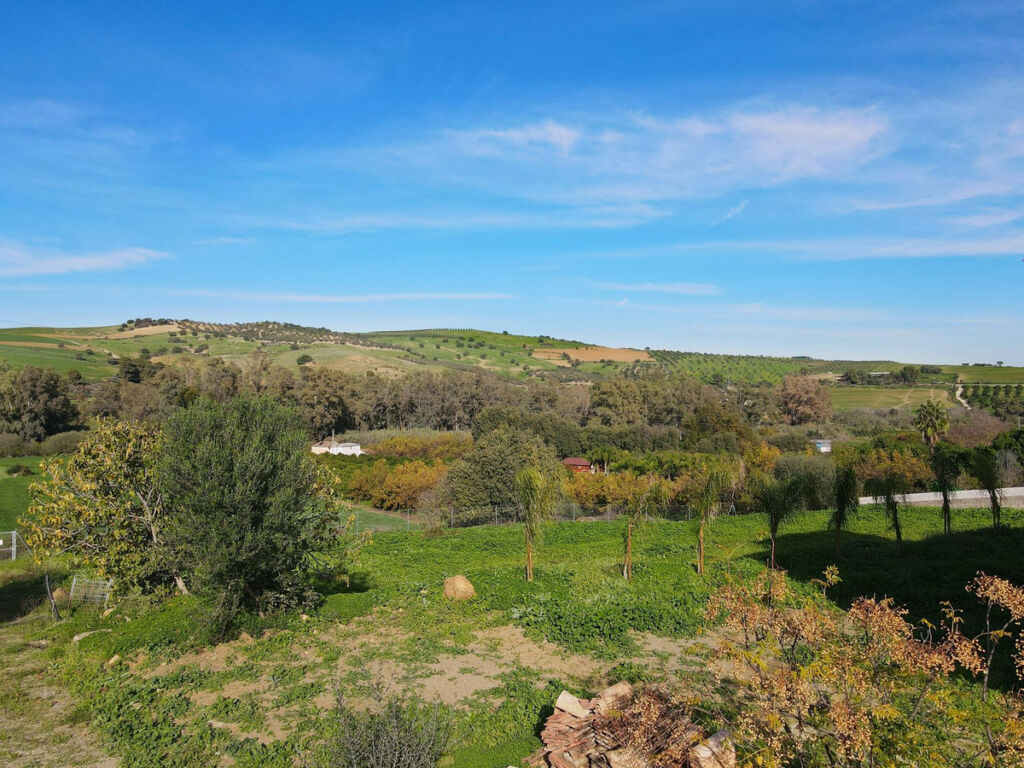 Finca - Cortijo Coín Málaga - Bild 16