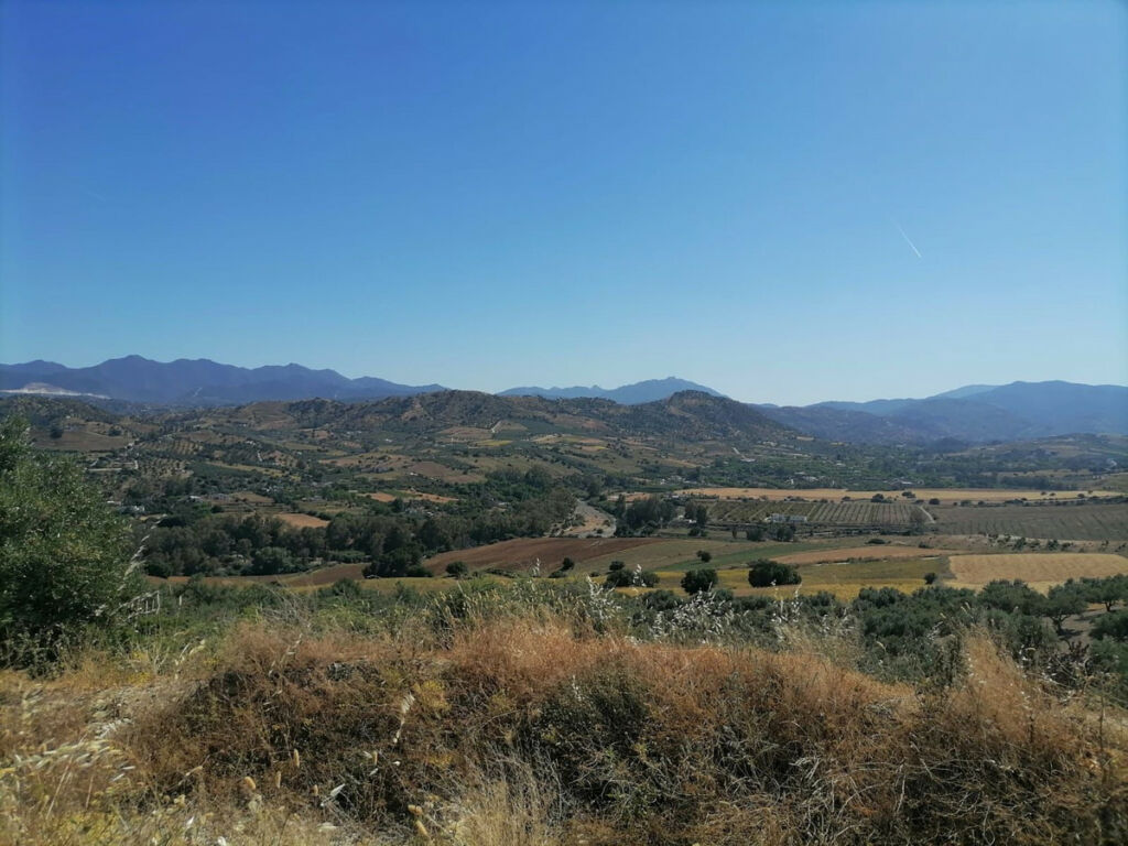 Land Coín Málaga - imagen 2