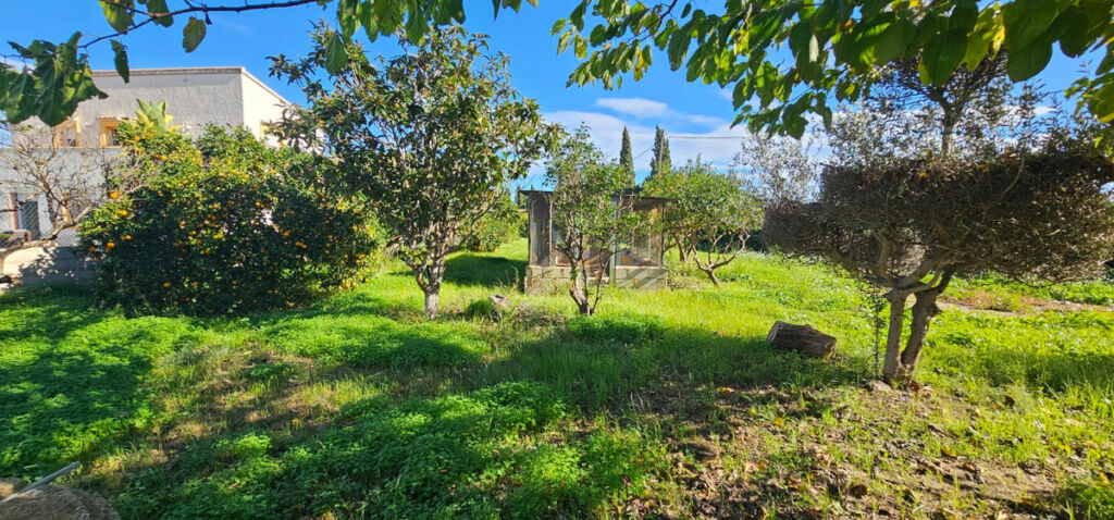 Detached Villa Javea Alicante - imagen 24