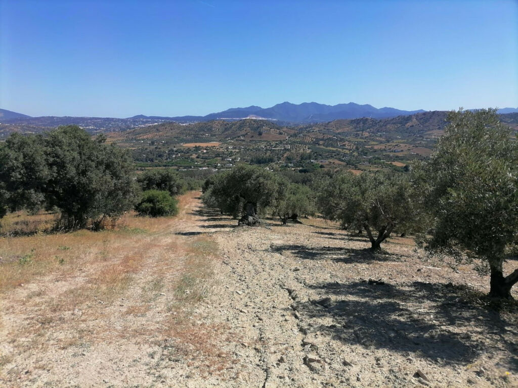Land Coín Málaga - imagen 4