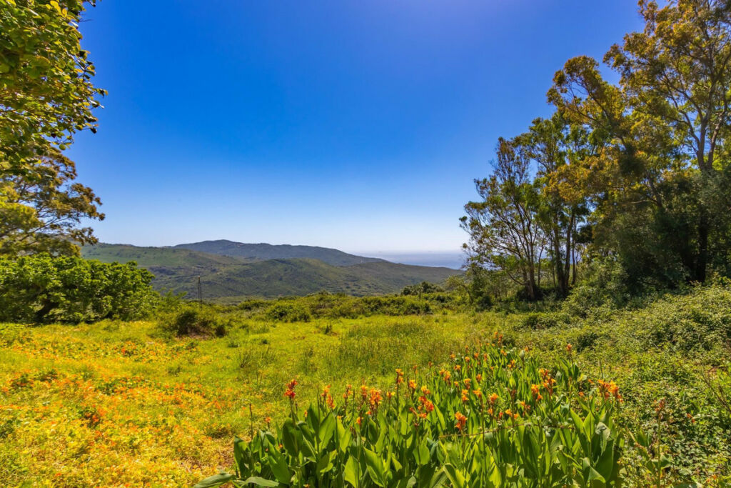 Finca - Cortijo Tarifa Cádiz - imagen 45