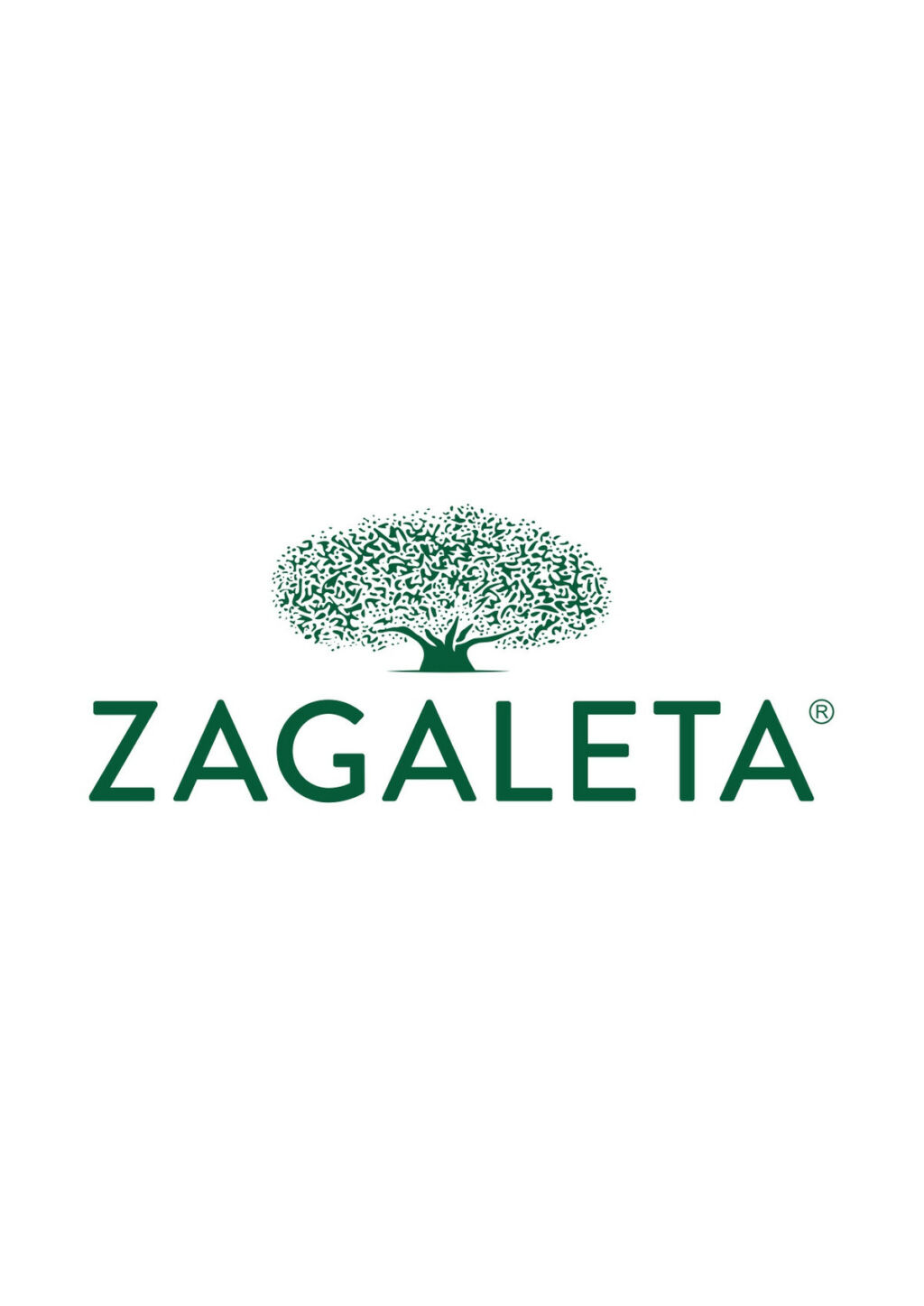 Land La Zagaleta Málaga - zdjęcie 9