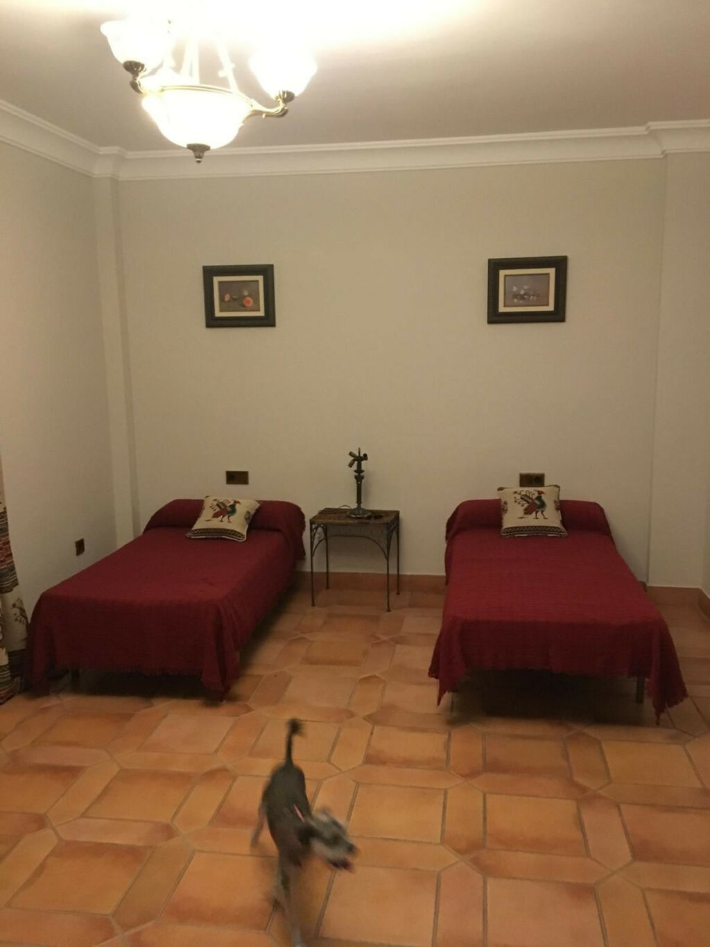 Detached Villa Mijas Costa Málaga - imagen 57