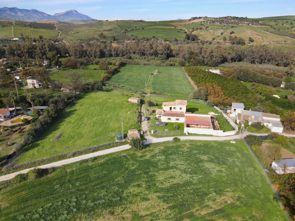 Finca - Cortijo Coín Málaga - Bild 6
