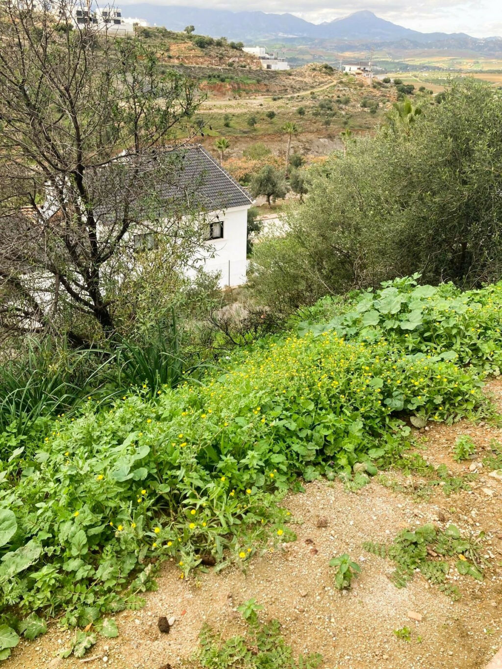 Residential Plot Coín Málaga - zdjęcie 7