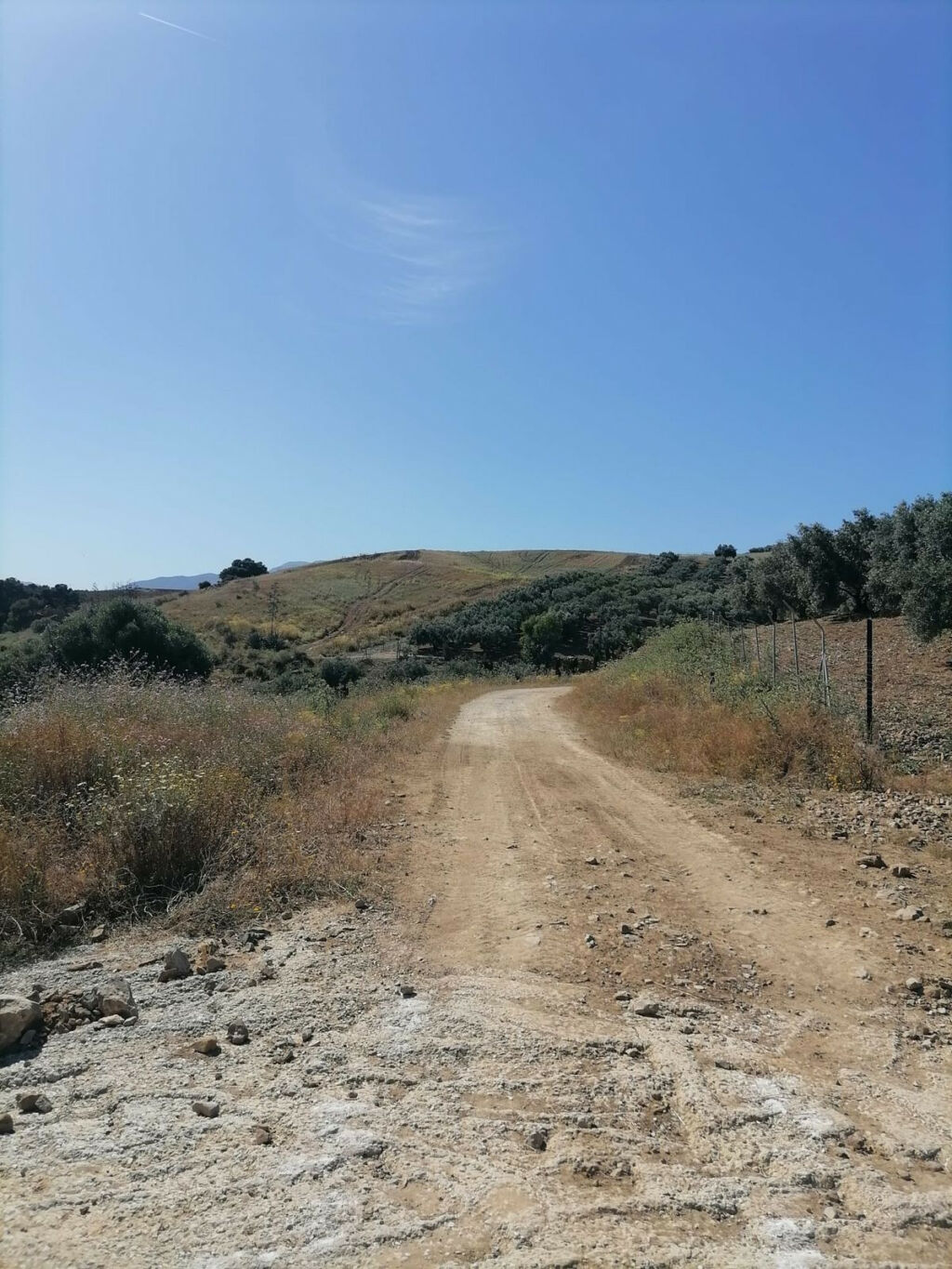 Land Coín Málaga - imagen 7