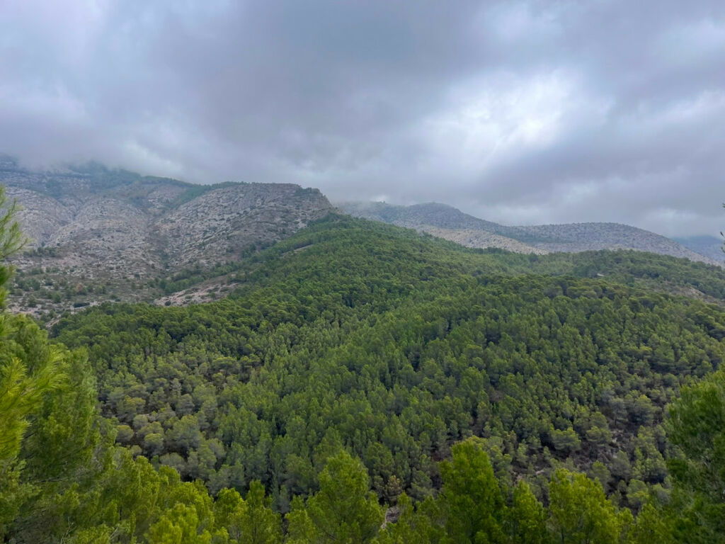 Land Altea Alicante - Bild 8