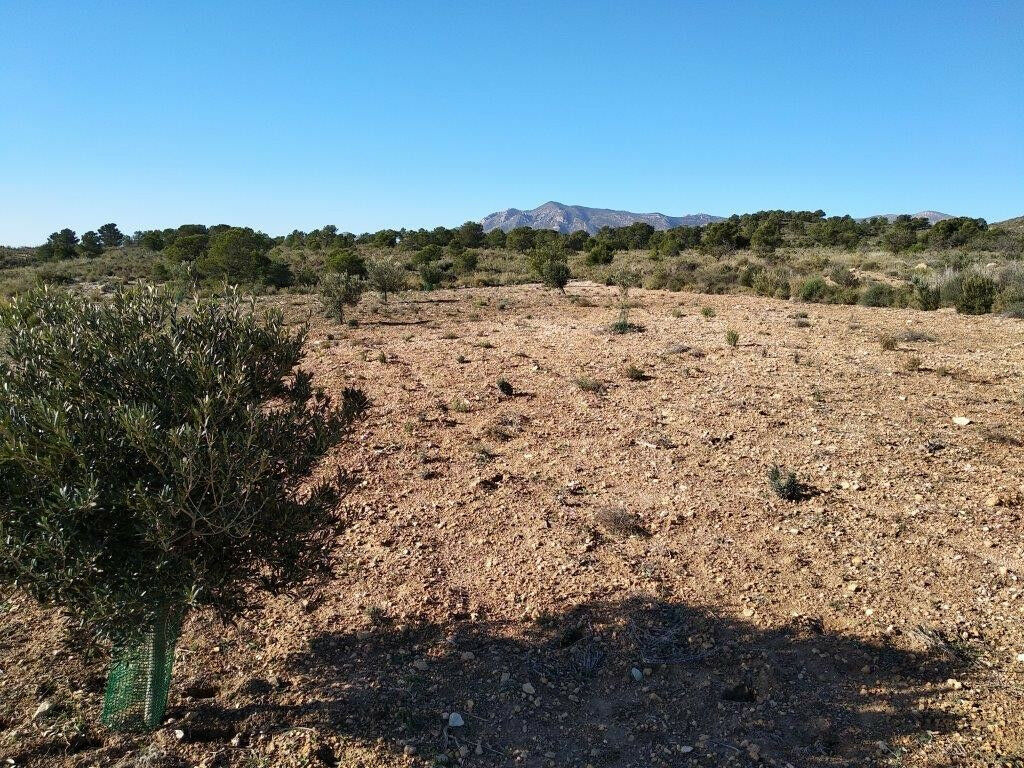 Land Relleu Alicante - image 11