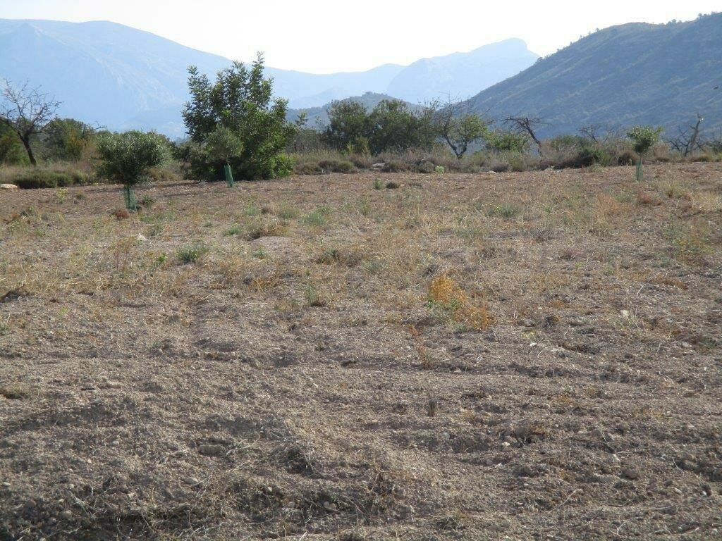 Land Relleu Alicante - image 21