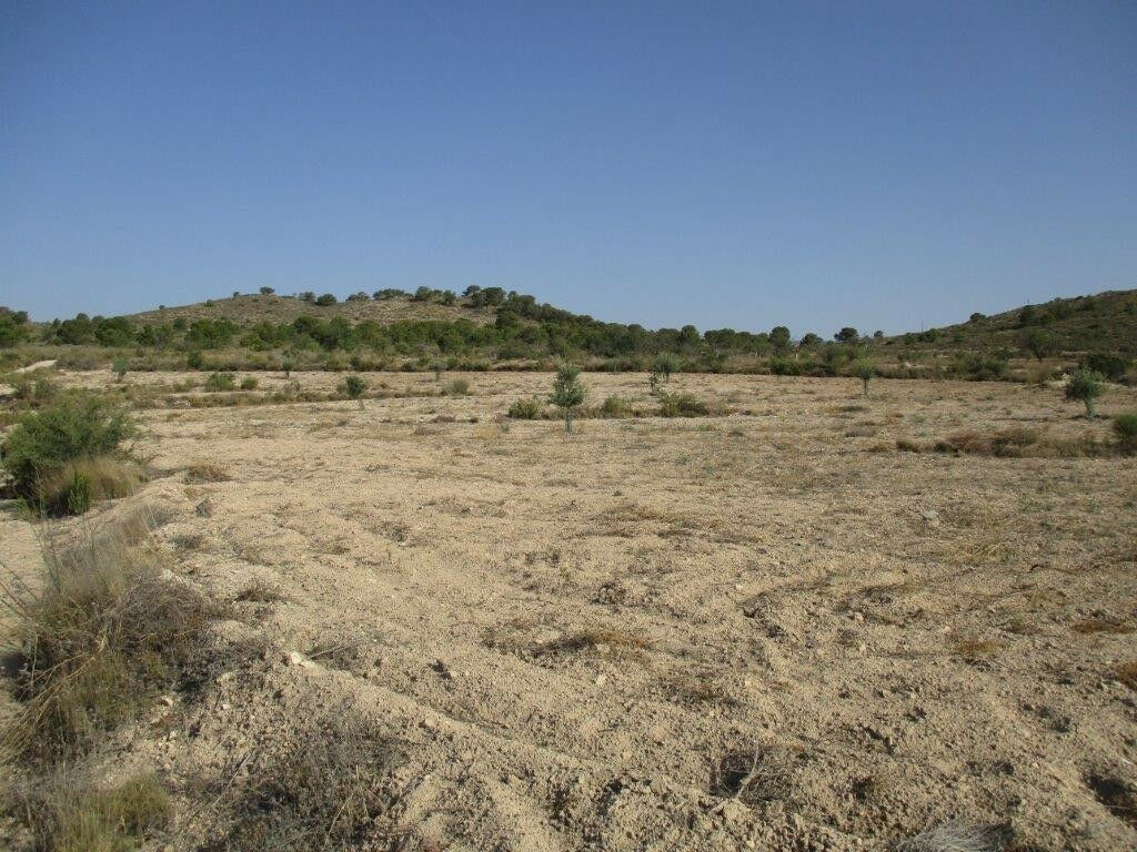 Land Relleu Alicante - image 26