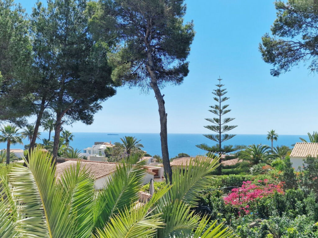 Detached Villa Javea Alicante - zdjęcie 3