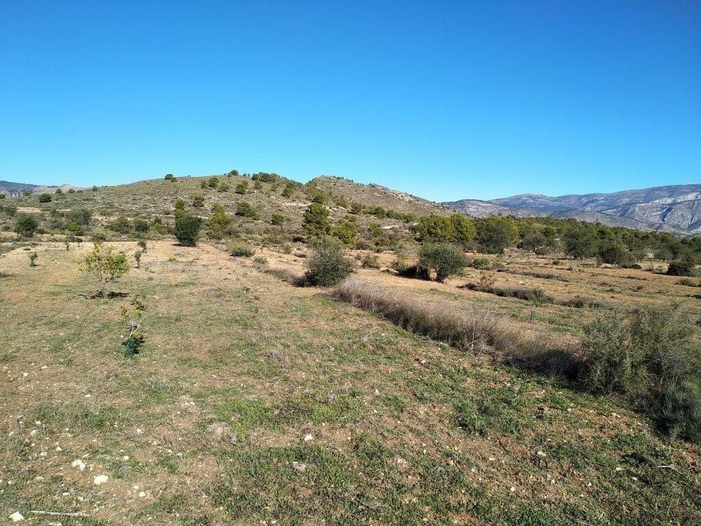 Land Relleu Alicante - image 31