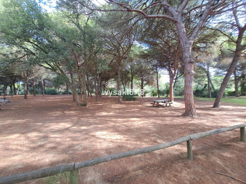 Land San Roque Cádiz - imagen 41