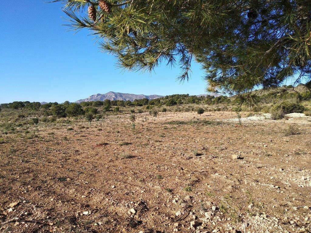 Land Relleu Alicante - image 4