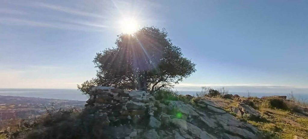 Land Rincón de la Victoria Málaga - imagen 13