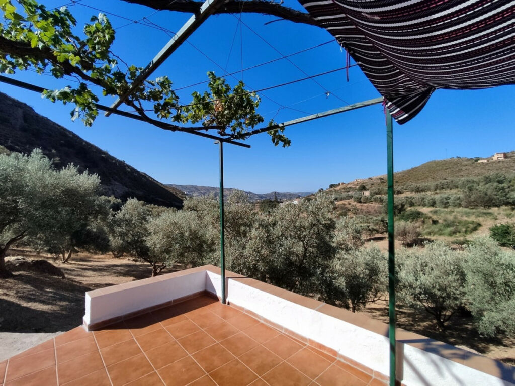 Detached Villa Alcaucín Málaga - Bild 10