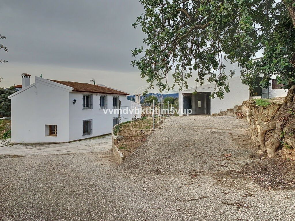 Finca - Cortijo Comares Málaga - Bild 16