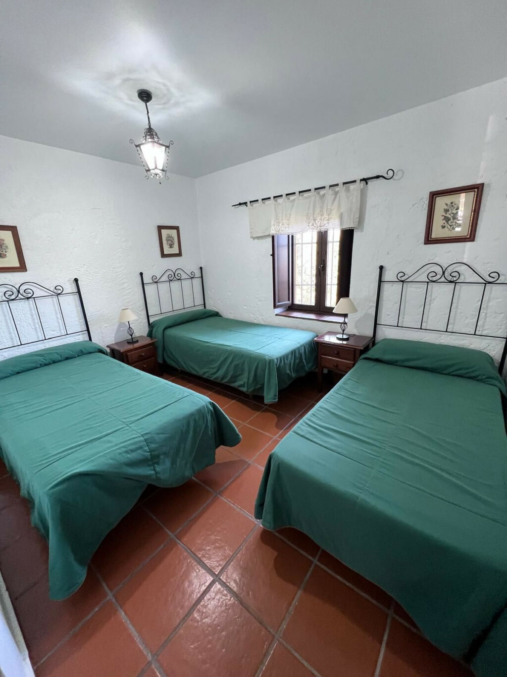 Finca - Cortijo Ronda Málaga - imagen 18