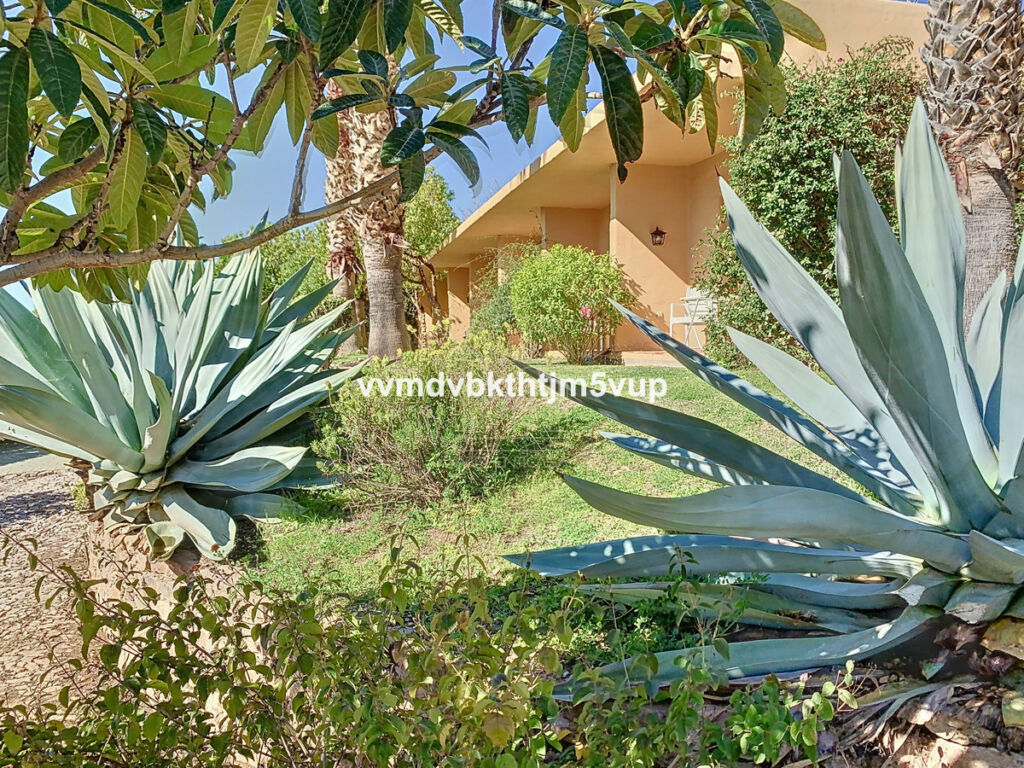 Finca - Cortijo Alcaucín Málaga - Bild 19