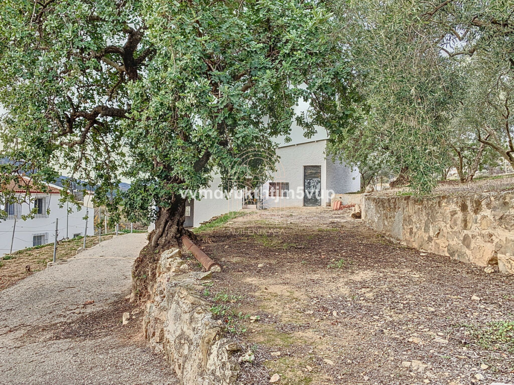 Finca - Cortijo Comares Málaga - Bild 2