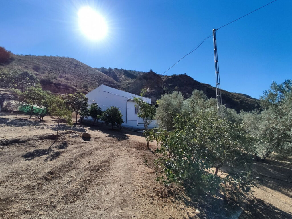 Detached Villa Alcaucín Málaga - Bild 2