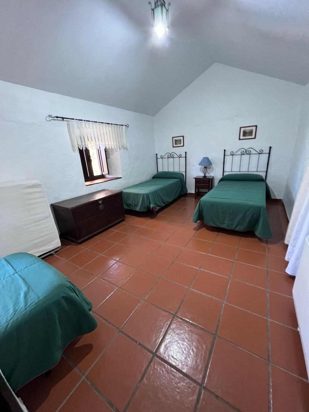 Finca - Cortijo Ronda Málaga - imagen 20