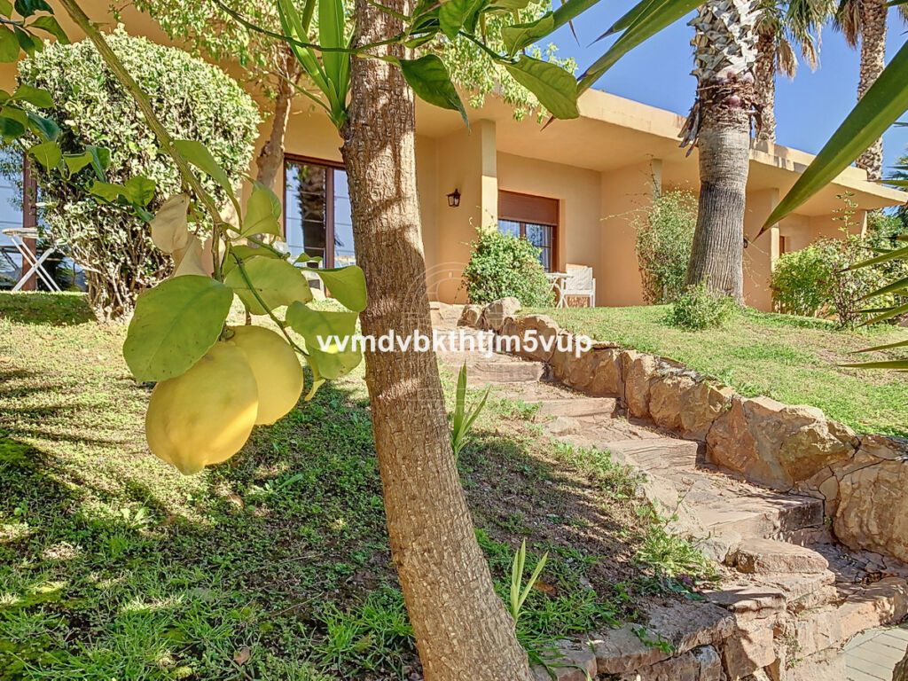 Finca - Cortijo Alcaucín Málaga - Bild 20