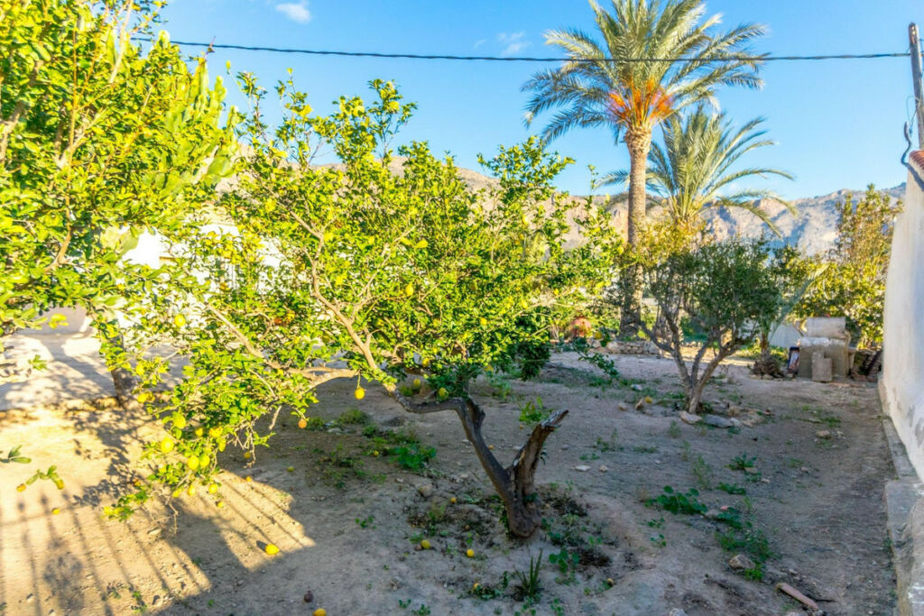 Finca - Cortijo Orihuela Alicante - zdjęcie 23