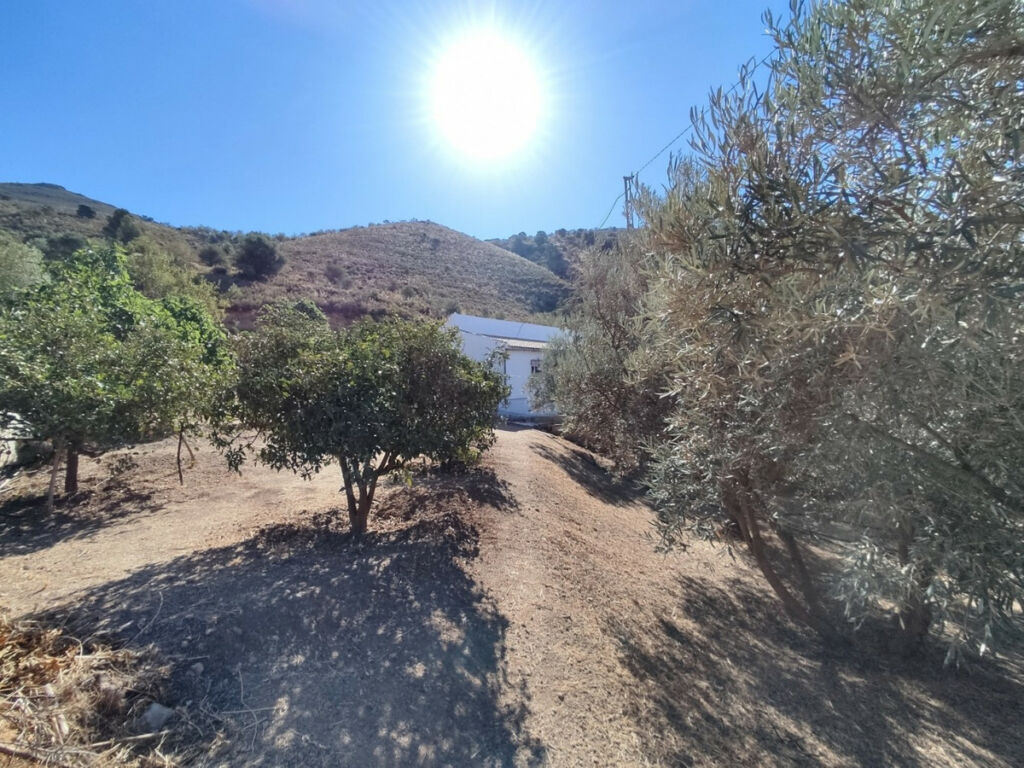 Detached Villa Alcaucín Málaga - Bild 3