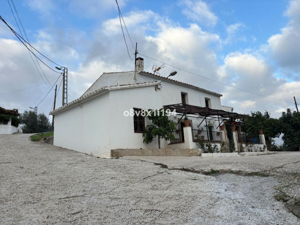 Finca - Cortijo Cútar Málaga - imagen 3