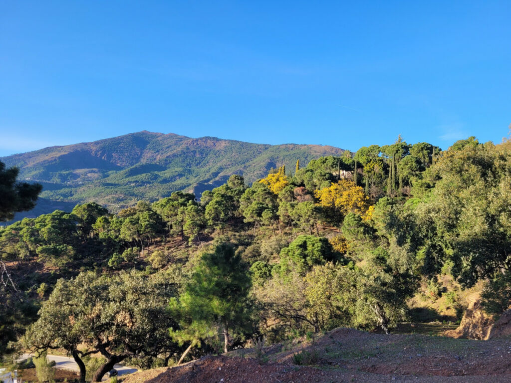 Land La Zagaleta Málaga - zdjęcie 3