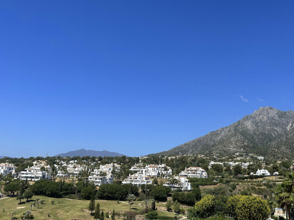 Detached Villa Marbella Málaga - image 30