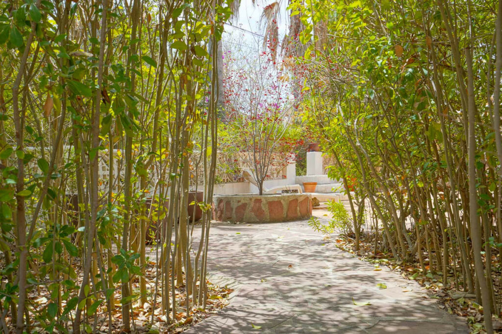 Detached Villa Javea Alicante - image 38